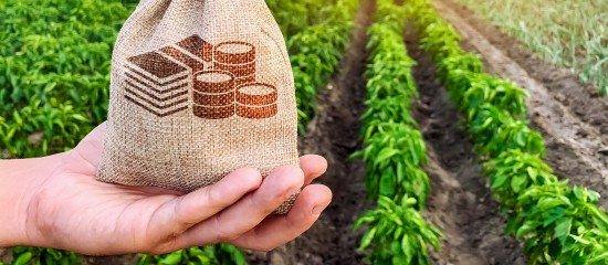 Les agriculteurs ont gagné, en moyenne 1650€ par mois en 2017