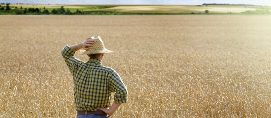 Droit de préemption du fermier en cas de vente d'un terrain agricole - Hans et associés